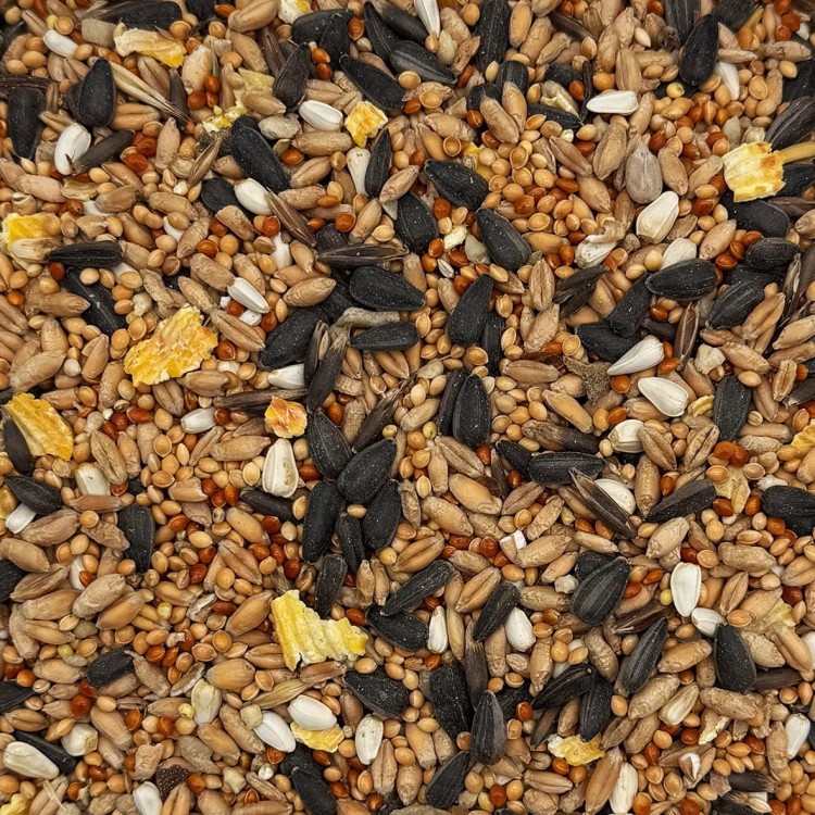30kg-Mix-dla-papug-falistych-i-srednich-nimfa-rozella-karma-STANDARD-Champi.jpg