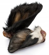 UCHO-WOLOWE-z-futrem-DUZE-gryzak-dla-psa-Balto-1szt.jpg