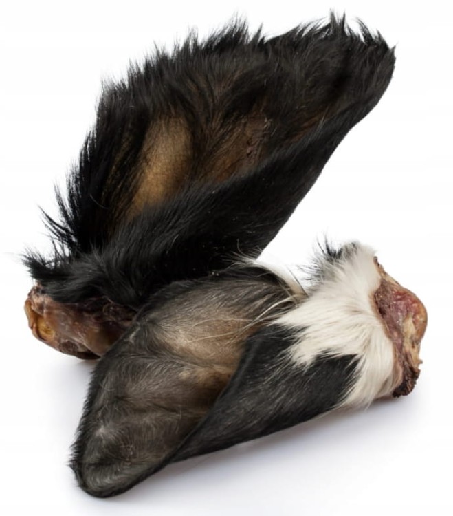 UCHO-WOLOWE-z-futrem-DUZE-gryzak-dla-psa-Balto-1szt.jpg