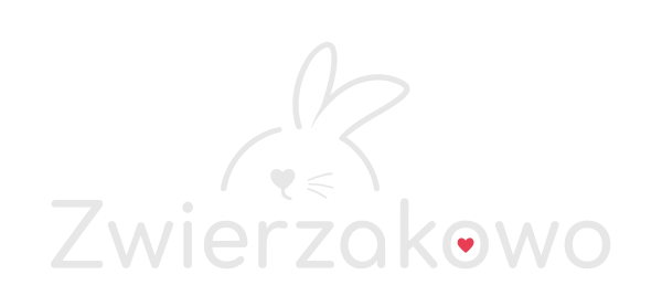 Zwierzakowo - strona główna
